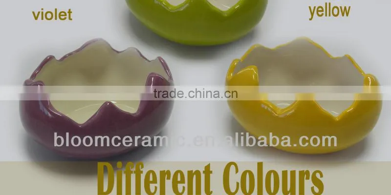 Indoor egg shaped ceramic flower pot