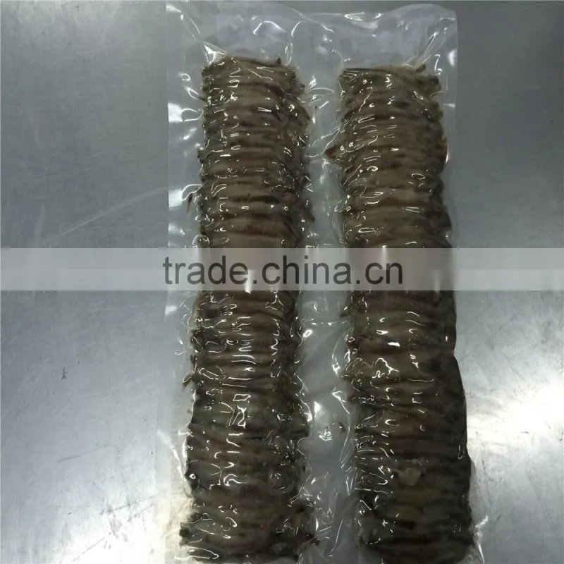 Hot sales new season salted anchovy fillets