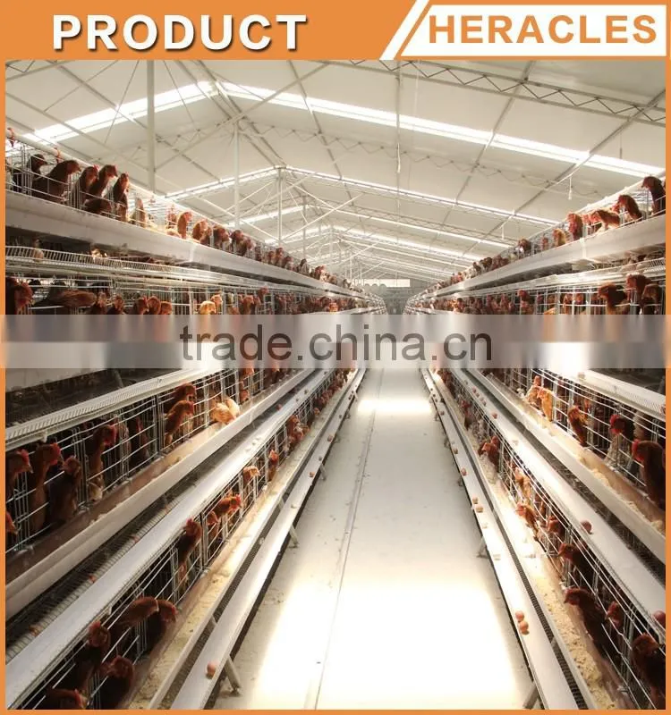 Heracles company price A type bird cage--poultry cage layer chickens