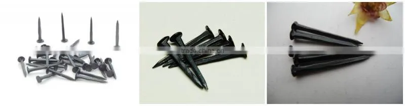 fine blue shoe tack nails/three star brand shoe tack naisl / Shoe Tack