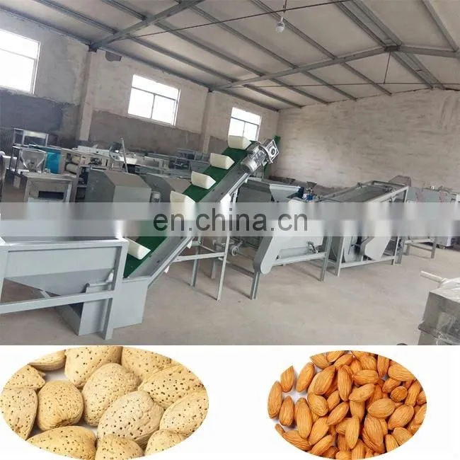 Hot sale apricot kernels shell separating machine