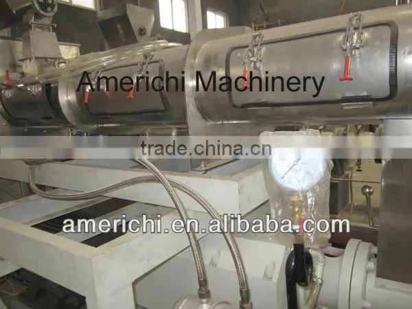 150/300/500kg/hr fish food extruder to Egypt