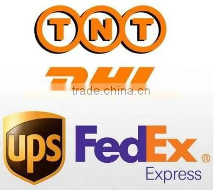 Forklift Parts Separately Excitation Curtis Speed Controller for Electric Vehicle