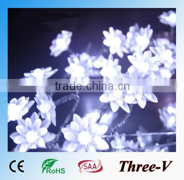 100led 10m Blue Outdoor Christmas Lights