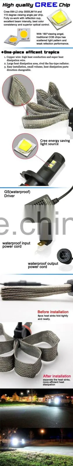 Newest High Power 2500lm Universal Car h8 led auto light DC 12v factory wholesales