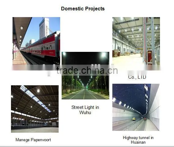 Suburb Road 40W 60W 80W 100W induction Street Light