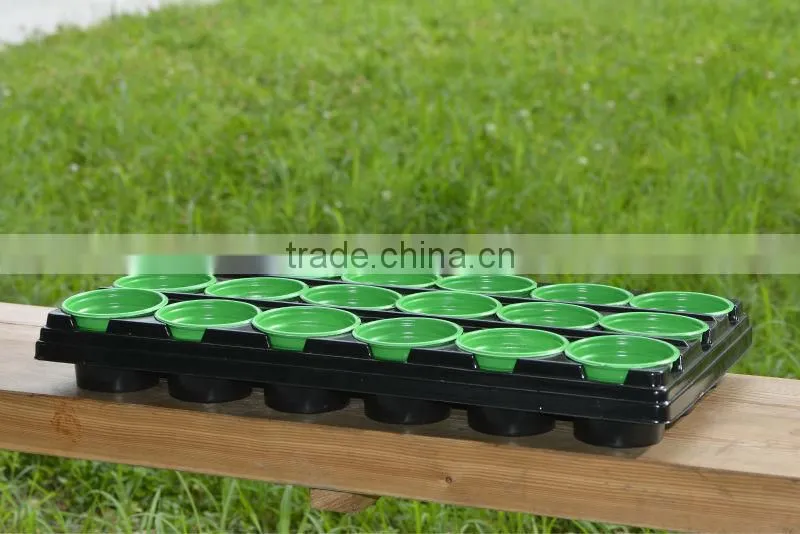 plastic tray with mini pot