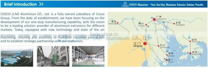 COSCO OEM color anodizing Aluminum Panel for Audio,Video,etc