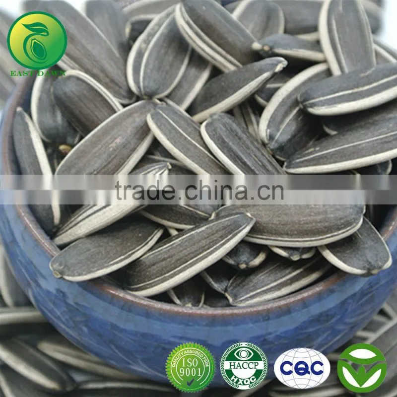 Bigs Sunflower Seeds 5009 Long Type