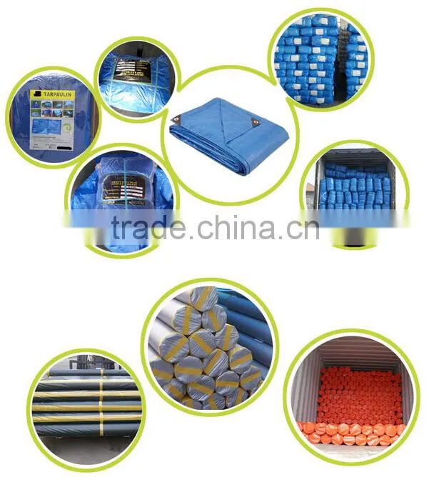 lightduty cheap pp tarpaulin export to pakistan