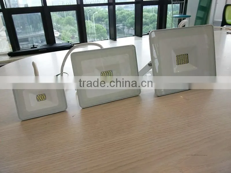 Everstar CE/RoHS IP65 30W 2400LM Cheap LED SMD Floodlight