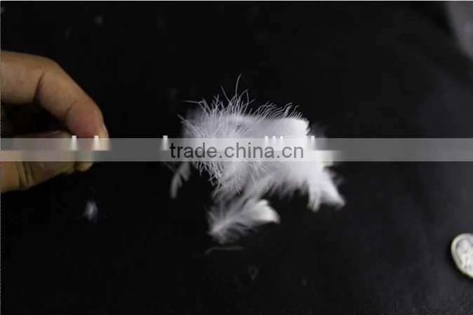 Factory Price 2-4cm Washed White Goose Feather fo Selling