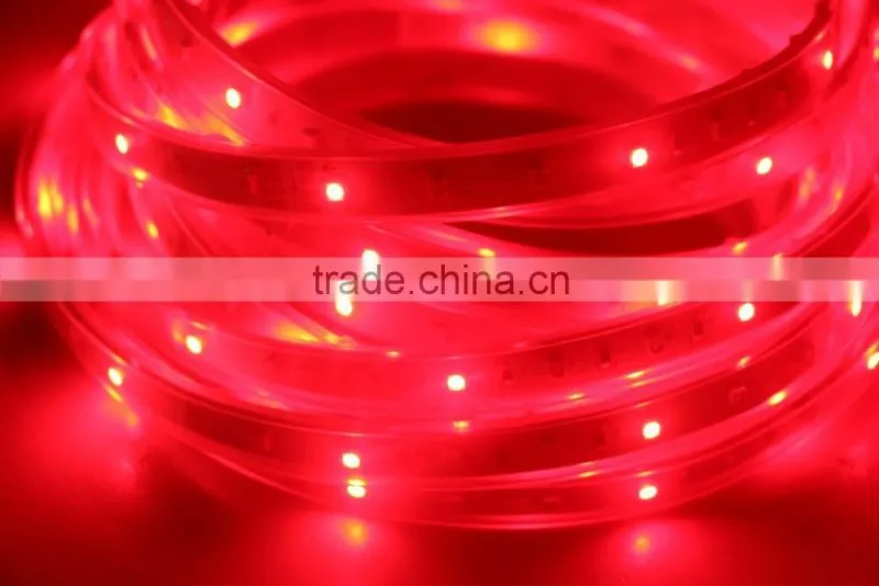 DC12V RGB LED Strip Light SMD 3528 Waterproof Wireless LED Strip with Remote Controller and power