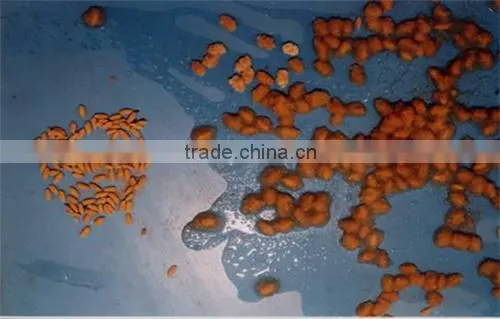 SAP potassium polyacrylate water gel for forest