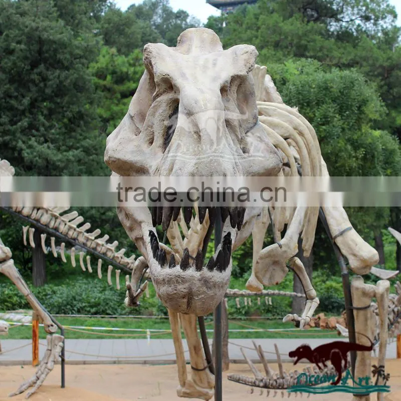 Dinosaur Exhibition Simulation Metal Dinosaur Skeleton