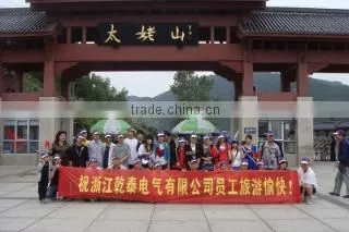 Zhejiang Qiantai Electrical Co., Ltd. company overview - view 3