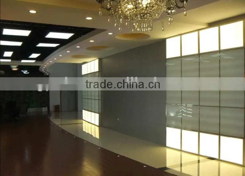CE 36W 60x60cm LED Panel Light