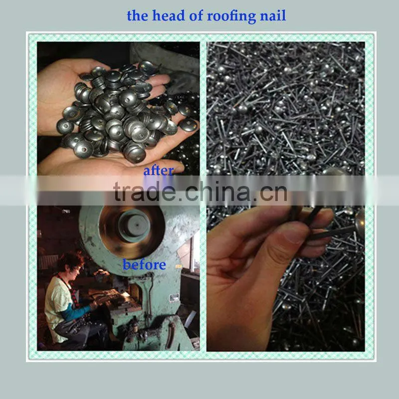 galvanized ring shank roofing nail with umbrella head