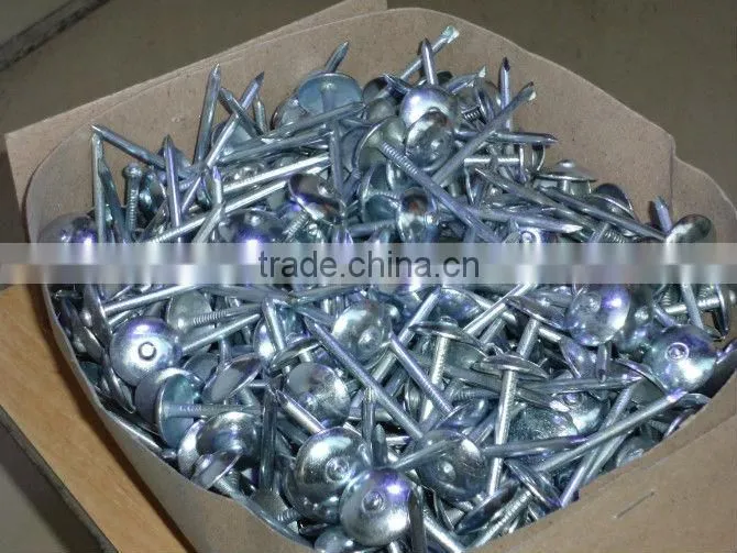 umbrella head galvanized roofing nails