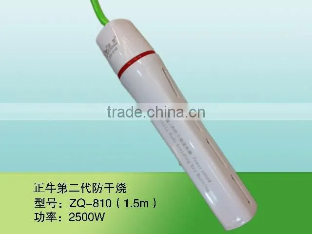 Latest 12v immersion water heater with low price