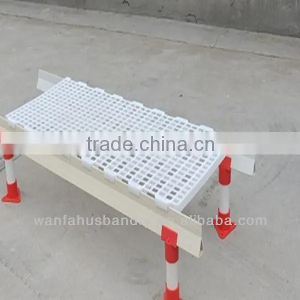plastic poultry falt net for chicken house