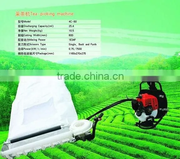 Gasoline Tea Plucker