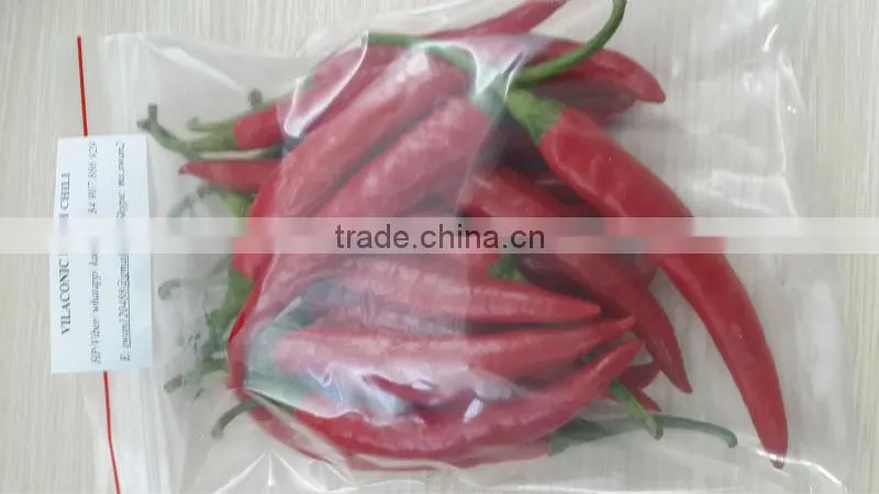 FRESH CHILI