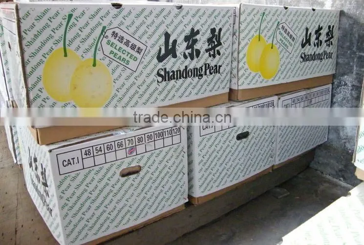 2015 fresh shandong pear supplying in china