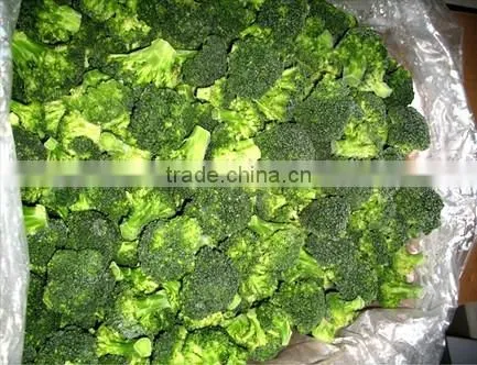 IQF Broccoli
