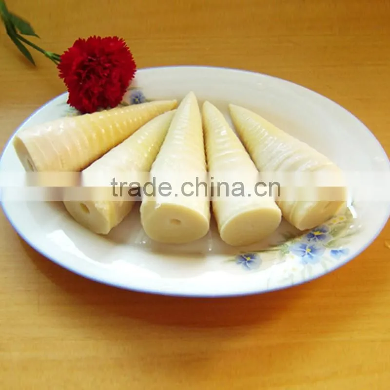 Canned bamboo shoots tips in natural water