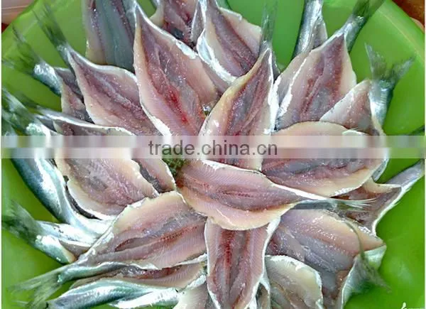 low price 125g Canned Sardine in oil fish with club can wholesaler wanted