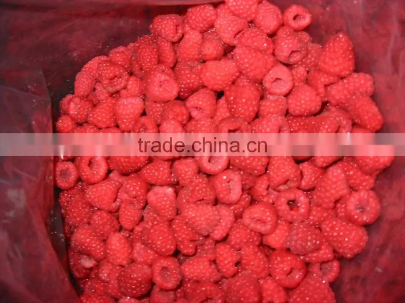 New Crop iqf raspberry
