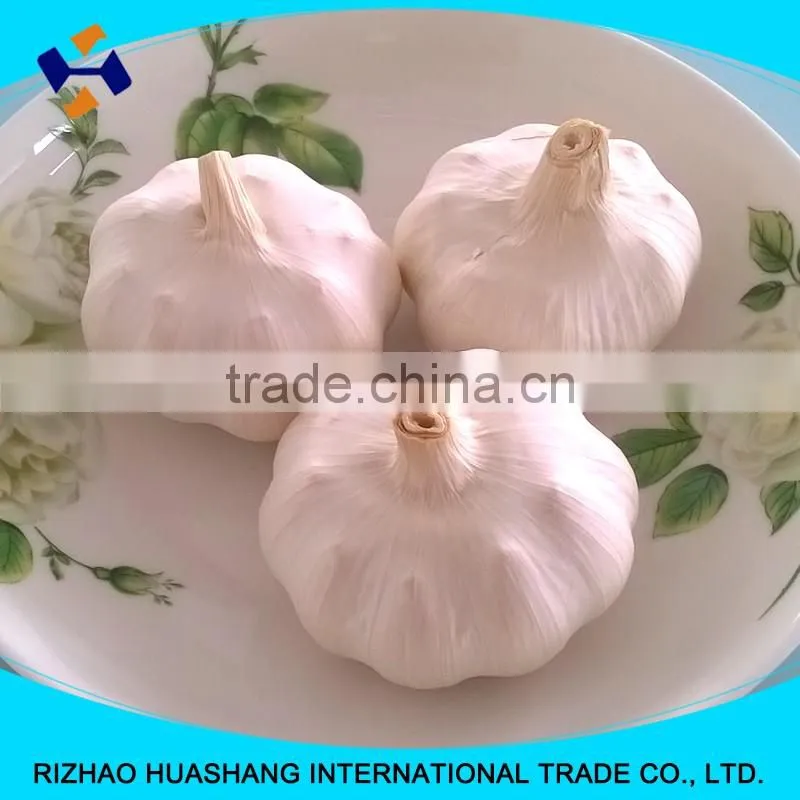 high quality white fresh garlic, size5.5cm
