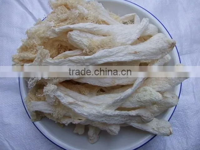 Chinese Mushroom Dried Cultivated Dictyophora