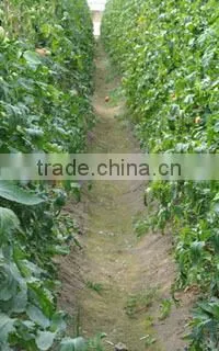 XianShanYuan Humic Acid Fertilizer