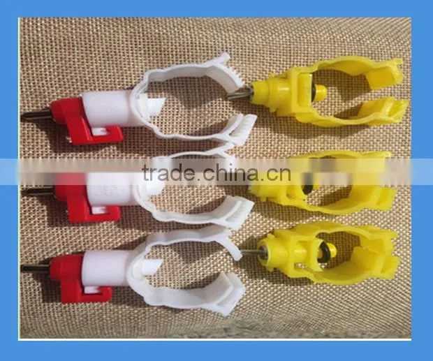 cheap chicken farm automatic drinking system for sale
