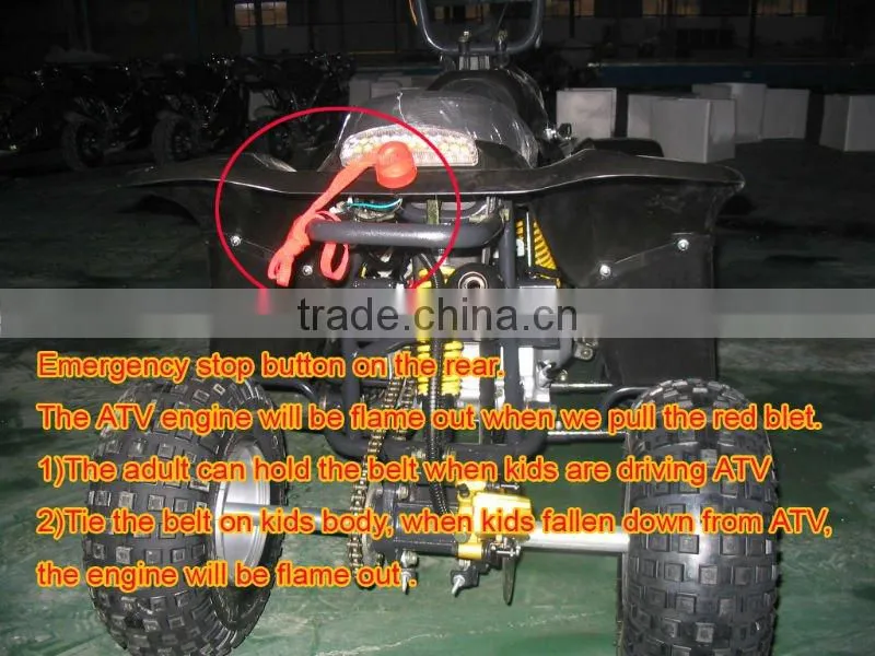 Gas-Powered 4-Stroke Full Automatic Engine ATV WZAT5001