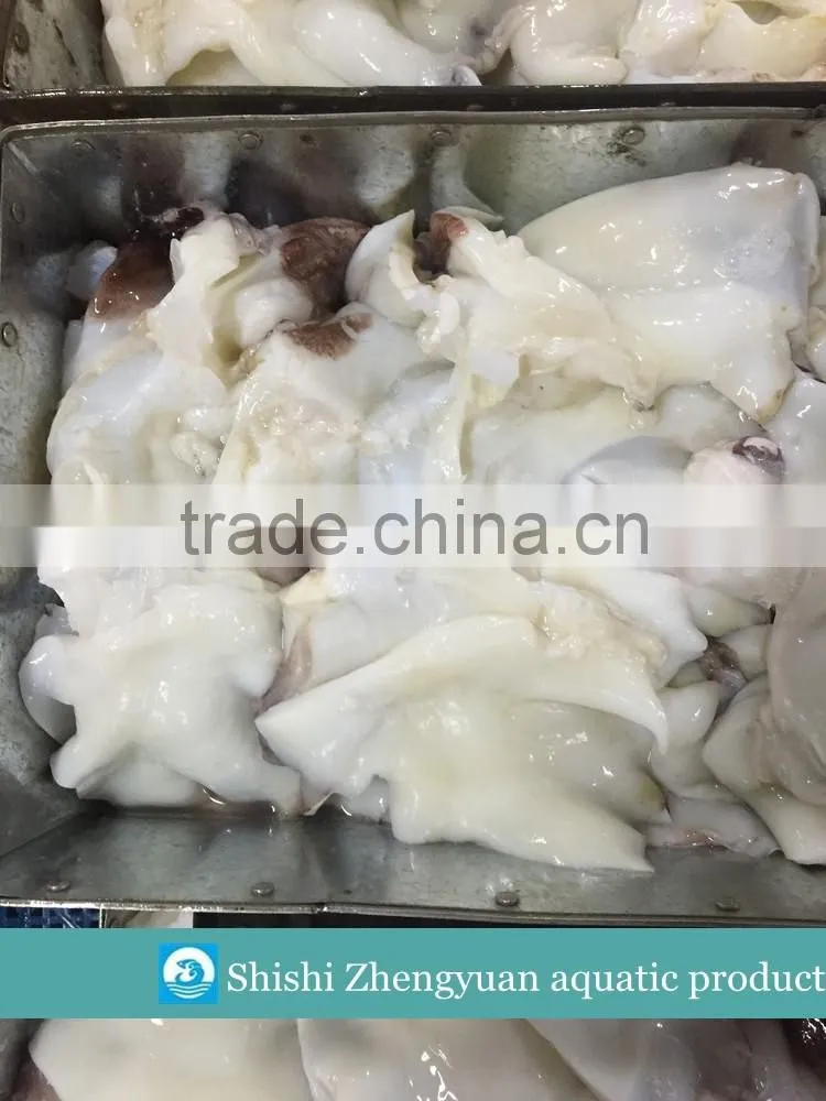 Frozen Giant Peru fillet squid neck Size 500+ on sale