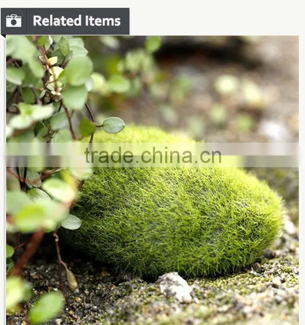 Buy direct from China manufacturer roof gardening moss stone