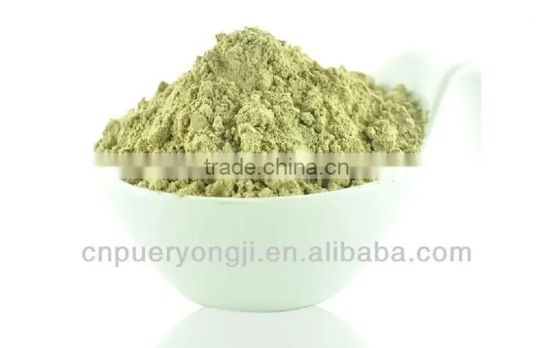 Factory Supply Dietary Supplyment 100% Natural panax Notoginseng P.E. / Wild Radix Notoginseng Extract