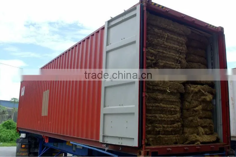 Oil Palm Fibre