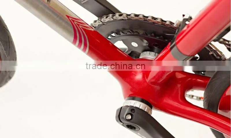Belt drive bike B-2 Stealth and Strategic Bomber