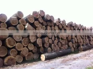 Alpawood Bv company overview - view 1