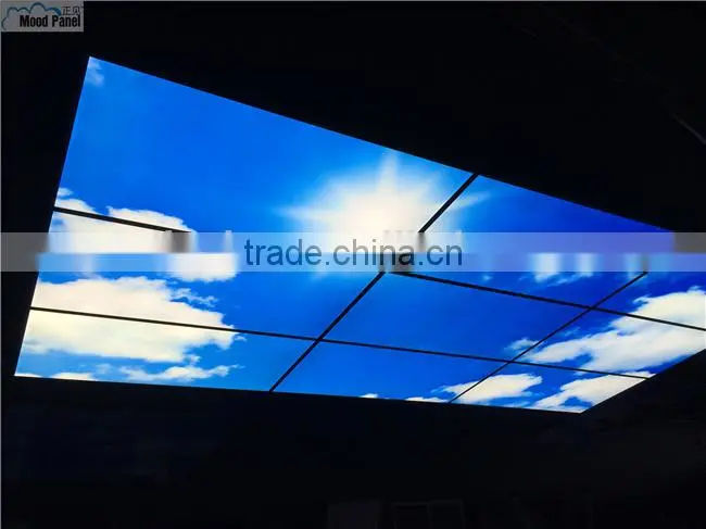 2015 Japanese style sakura sky ceiling panel