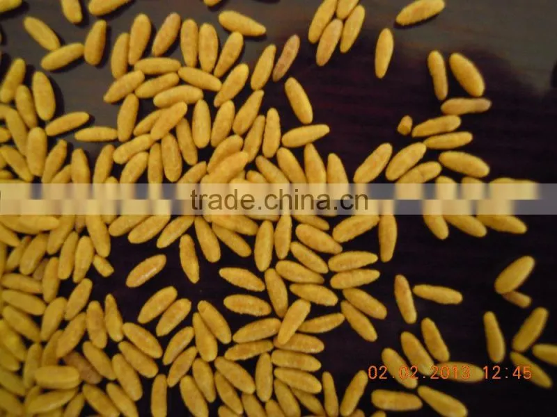 Fully automatic Crispy rice process line