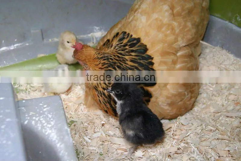 Wood Shavings Making Machine for animal bedding