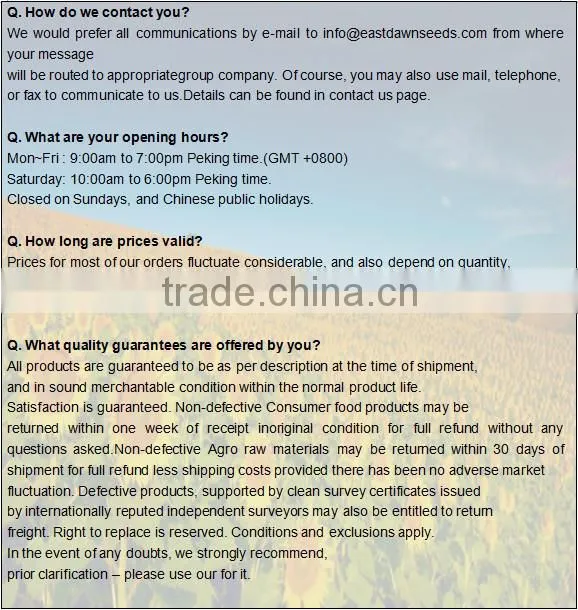 common cultivation pumpkin kernels/dried pumpkin seeds kernels