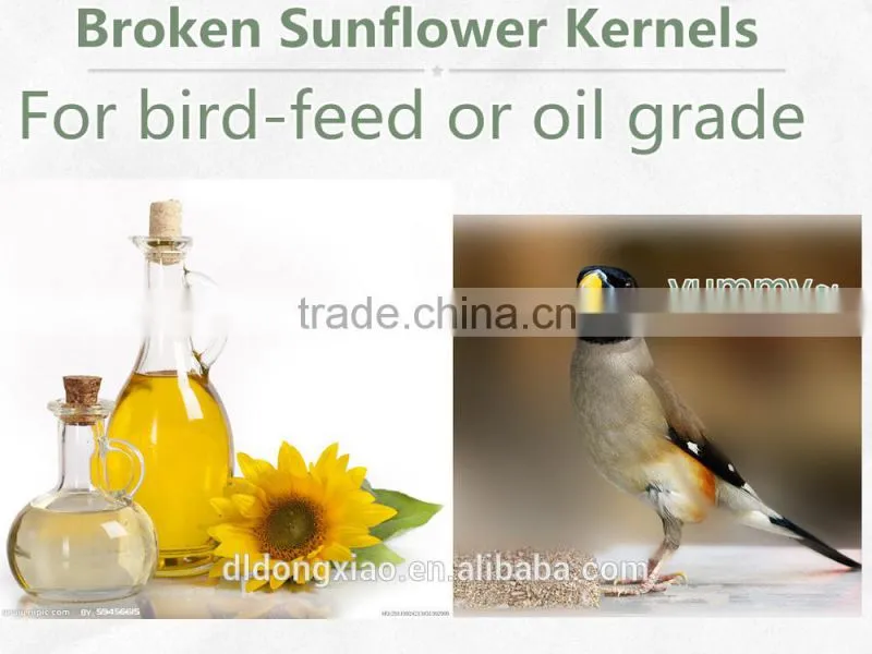 Top Crop Broken Sunflower Kernels Best Selling
