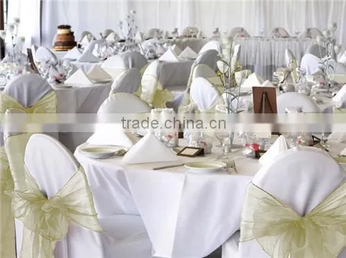 Sheer Organza Chair Sash