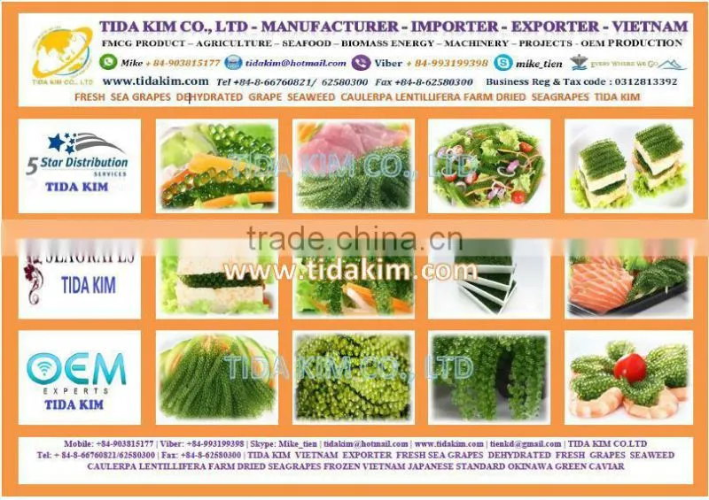 OREO BISCUIT TIDA KIM - OEM PRODUCTION - VIETNAM EXPORTER -MAIN DISTRIBUTOR INDO THAI